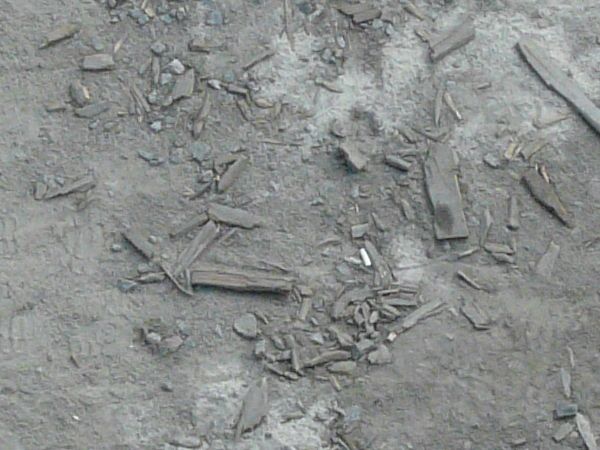 garbage on the ground texture